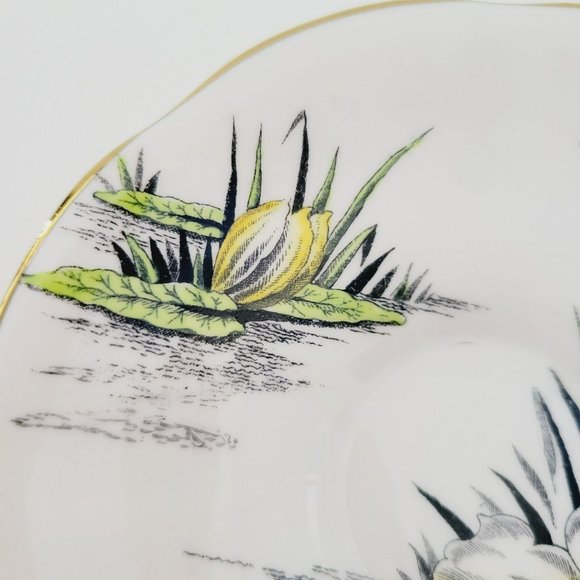 Rosina Water Lily Teacup & Saucer July Flower of the Month, Pink Black & Yellow - Picture 13 of 15